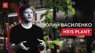 HEIS: зелёный уголок в каменных джунглях