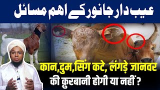 किन ऐब की वजह से कुरबानी जायेज़ नहीं | Kaan Dum Ya Seeng Katy Janwar Ki Qurbani | Fida Hussain Qasmi