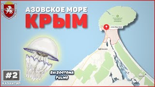 Путешествие в Крым на машине. Азовское море. Медузы.