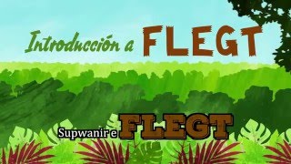 Introducing FLEGT (Maya Chortí)