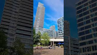 Den Haag | The Hague #shorts