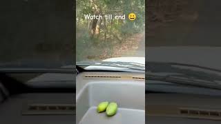 Monkeys on Road 🛣️#viral #viralshorts2024 #shortsfeed #shorts#shortvideo#shortsviral #imaginedragons