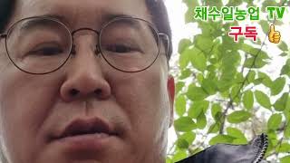 나무의사 토양학 실습중 찾아온 새~좋은일이 생겼으면 좋겠어요