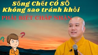 Thầy Pháp Hoà Giảng Về Cuộc Sống Này đều Có Số, Không Thể Tránh Khỏi.