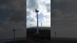 Albany Wind Mill Farm