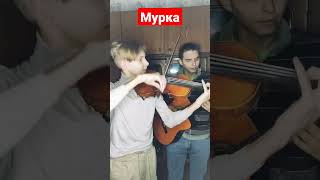 Мурка #музыка #kovalevbrothers #short #music