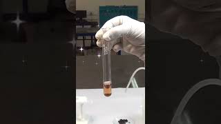 Sodium Nitroprusside Test For Ketone #aldehyde #ketones #shorts #laboratorytest #njoyscience #viral