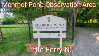 Little Ferry NJ! Mehrhof Pond Wildlife Observation Area