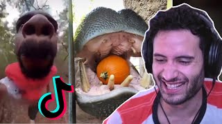 NymN Reacts to TikToks That Will Make You Exhale Through Your Nose