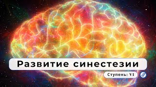 «Синестези́я» — развитие синестезии