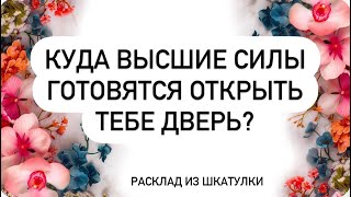 КУДА ВЫСШИЕ СИЛЫ ГОТОВЯТСЯ ОТКРЫТЬ ТЕБЕ ДВЕРЬ? 🚪 #tarot#магияжизни#шкатулка#даров