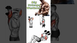 Best Triceps Workout #shorts  #triceps #tricepsworkout #forearms #workout #bodybuilding #gym #viral