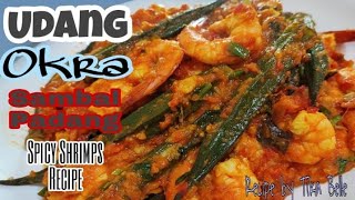 Udang Okra Sambal Padang || Spicy Shrimps Recipe