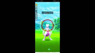 capturing mewtwo! 100iv (2021) #shorts