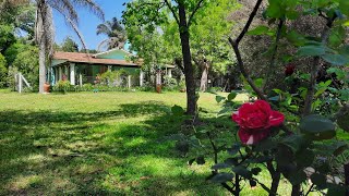 Psicología y Cuidados Paliativos. Licenciada Mercedes Porfilio. Encuentro Proyecto CECI.🌹🕊️💜🧡❤️🙌🏼🙏🏻