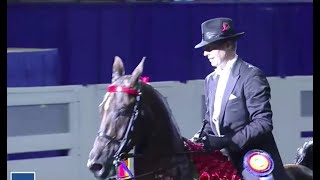 worlds championship 8 29 2020 Five Gaited edit