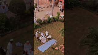 Darul Uloom Deoband || Islah For Ummah