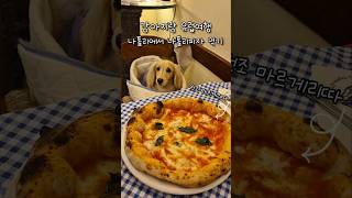 나폴리에서 원조 마르게리따 피자 먹기 🍕 강아지랑 유럽 여행 이탈리아 #dachshund #dog #pizza