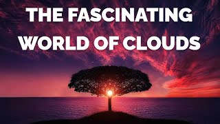 The Fascinating World of Clouds