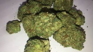 GAS TANK ( pink- island indica) by: highland. ITS AN 8