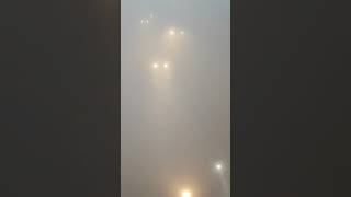 Visibility Zero. New Delhi 7 am #fog #smog #delhi #breathing #smoking #human #youtubeshorts