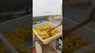 Hot Corn while raining #food #foodiesofbangalore #asmrfood #cooking #corn #foodkajahan