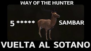 VUELTA AL SOTANO 5 ESTRELLAS SAMBAR WAY OF THE HUNTER Español