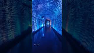 Brockville Railway Tunnel- South Portal Ontario Canada | Brockville Tunnel Walk | #Shorts