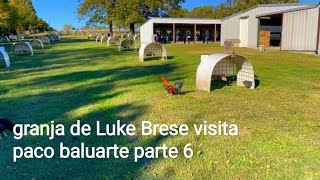 mejores galleras del mundo granja de Luke Brese visita paco baluarte parte 6