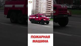 Изучаем транспорт и спецтехнику. Видео про машинки #пожарнаямашина