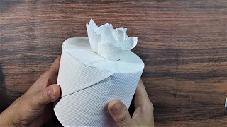 Toilet paper origami easy