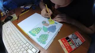 The process of drawing vegetables and fruits with a pencil.