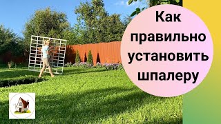 Установка шпалеры для вьющихся растений.