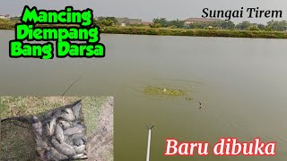 Baru Dibuka..Mancing Mujair Diempang Bang Darsa || Sungai Tirem Marunda