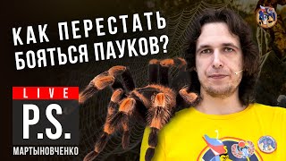 Как перестать бояться пауков? Фёдор Мартыновченко. #Постскриптум