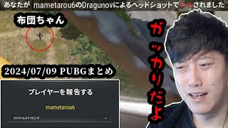 ゴースティングチーター「mametarou」に狙われる布団ちゃん　2024/07/09