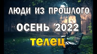 ТЕЛЕЦ 🌍 ОСЕНЬ 2022 . СЕНТЯБРЬ ОКТЯБРЬ НОЯБРЬ. Таро прогноз гадание