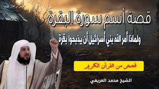 قصة أسم سورة البقرة - ولماذا أمر الله بني أسرائيل أن يذبحوا بقرة - الشيخ محمد العريفي