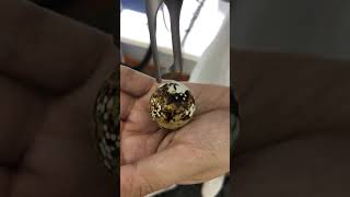 pico laser machine do test on eggs