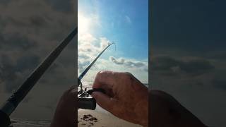 Catching Trout on top water lure #surffishing