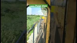 Shorts | Loco Piolet View #viral #youtubeshorts #shorts