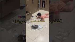 القطوه لقت احد على جوها :