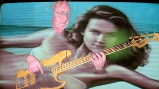 WELCOME TO THE JUNGLE BASS COVER