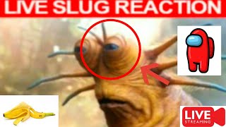 LIVE SLUG REACTION (Meme)