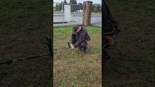 November 3, 2024 Metal detecting