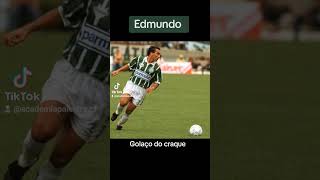 Edmundo, ídolo mais marrento que o Palmeiras já teve #palmeiras #palmeirasoficial #palmeirasedit