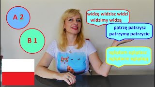 LEARN POLISH (A2/B1): WIDZIEĆ, PATRZEĆ, OGLĄDAĆ (SEE, LOOK AT, WATCH) - CONJUGATIONS