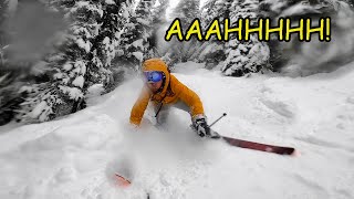 Tree Skiing has never been this fun (Revelstoke)