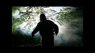 Documentary on Proof that Bigfoot Is Real