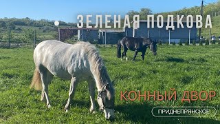 Конный двор Зеленая Подкова в Надднепрянском